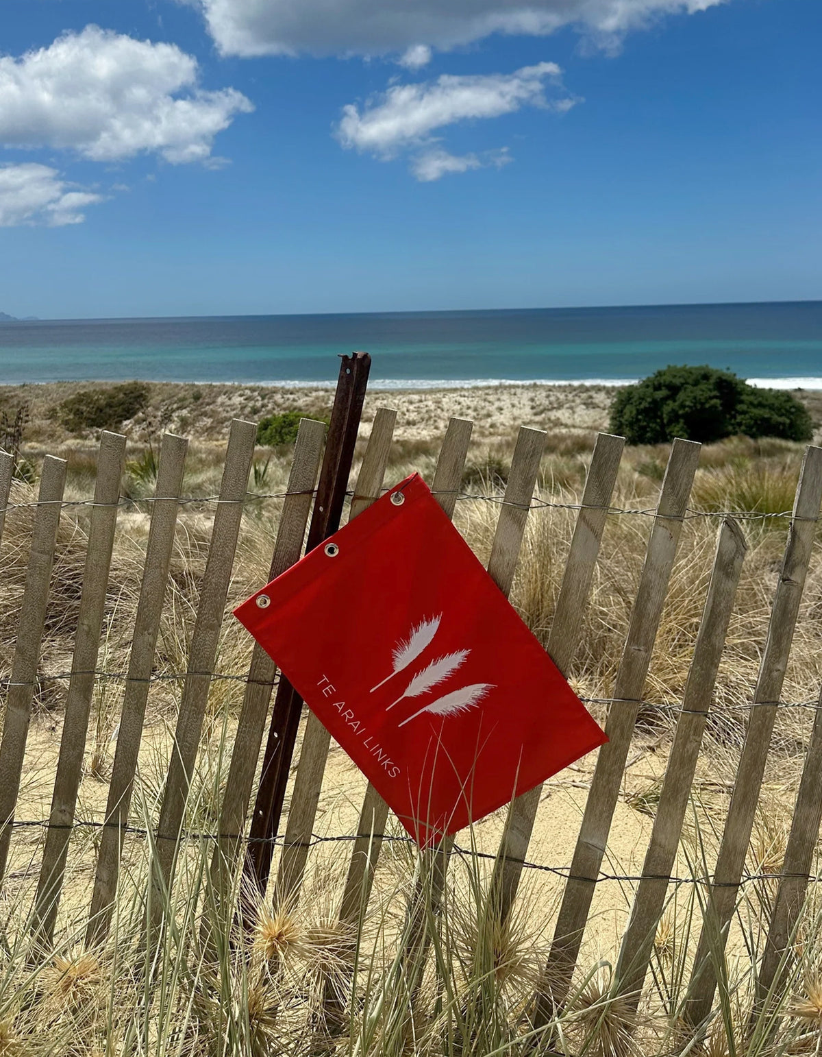 Pin Flag