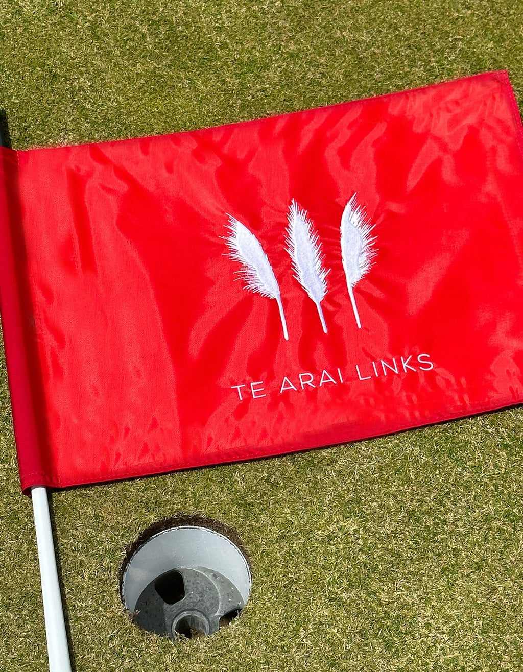 Pin Flag
